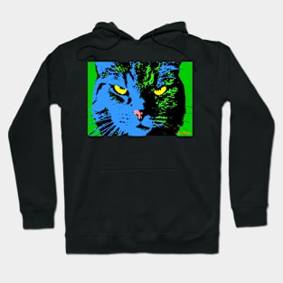 ANGRY CAT POP ART - BLUE GREEN YELLOW BLACK Hoodie